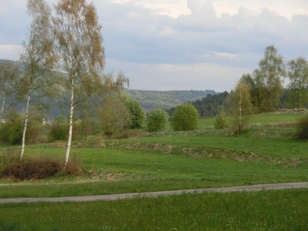 Pension Fohlenhof Frauenau Zewnętrze zdjęcie
