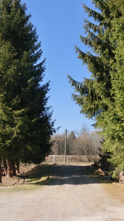 Pension Fohlenhof Frauenau Zewnętrze zdjęcie