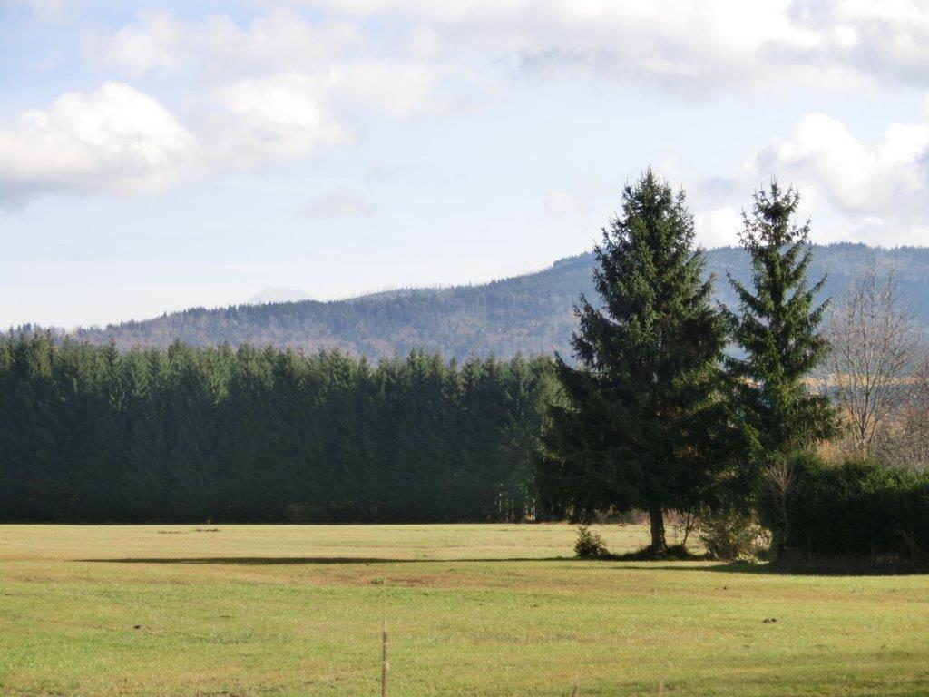 Pension Fohlenhof Frauenau Zewnętrze zdjęcie